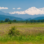 FARM ABBOTSFORD BC